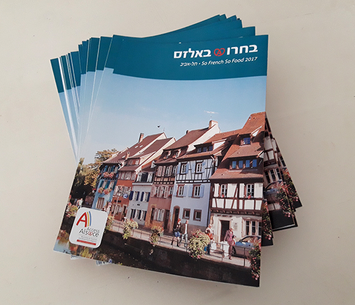 CREATION OF PROFESSIONAL BROCHURES