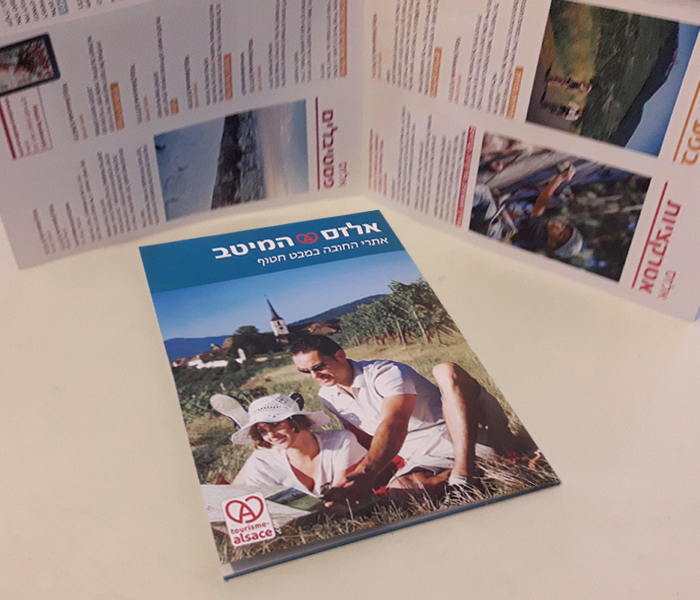 CREATION OF PROFESSIONAL BROCHURES