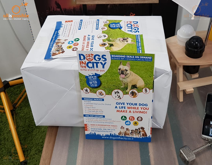 CREATION OF PROFESSIONAL BUSINESS FLYERS