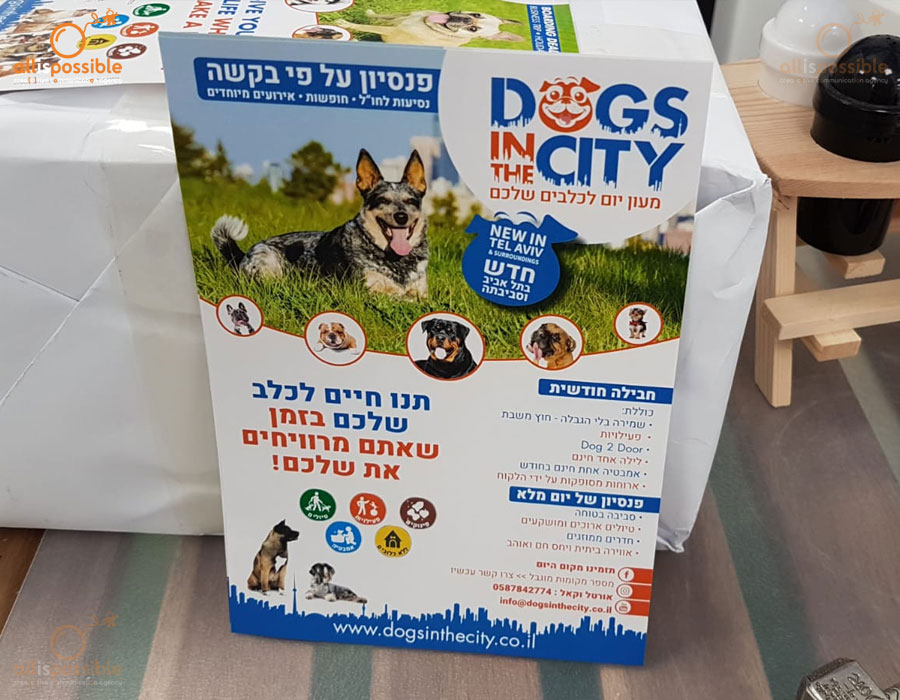 CREATION OF PROFESSIONAL BUSINESS FLYERS