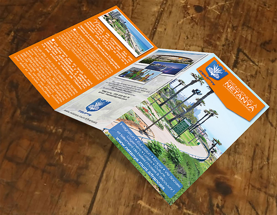 CREATION OF PROFESSIONAL BUSINESS FLYERS