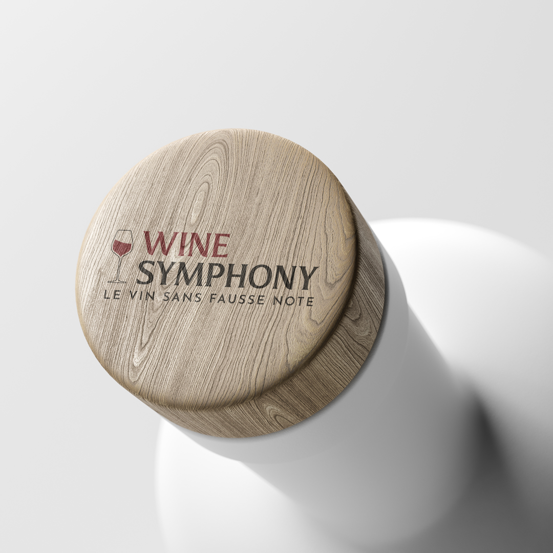 CREATION OF PROFESSIONAL LOGO DESIGNS & BRANDMARK