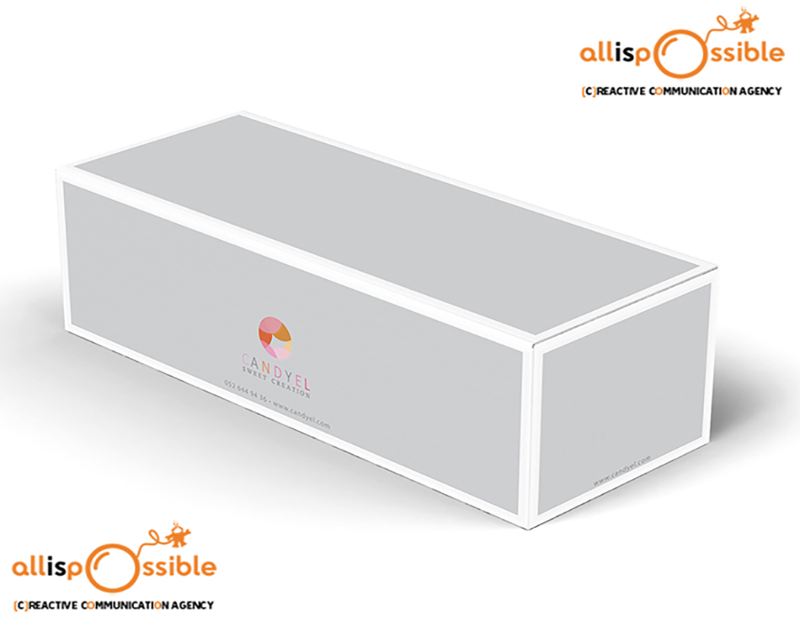 CREATION OF PROFESSIONAL PACKAGING