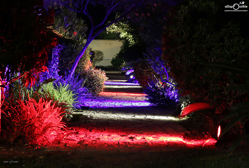 PROFESSIONAL PHOTOGRAPHY: packshot, fitness, product, casting, Architecture & Interior