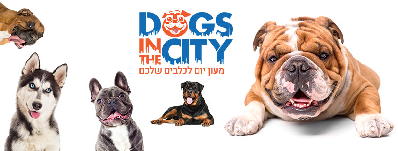 CREATION OF PROFESSIONAL WEN SOCIAL MEDIA BANNERS