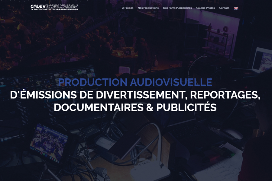 CREATION OF PROFESSIONAL WEBSITES