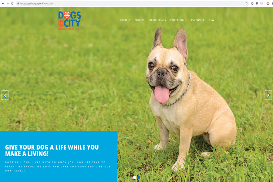 CREATION OF PROFESSIONAL WEBSITES