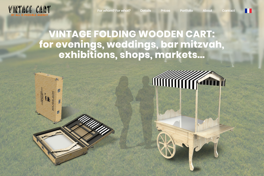 CREATION OF PROFESSIONAL WEBSITES