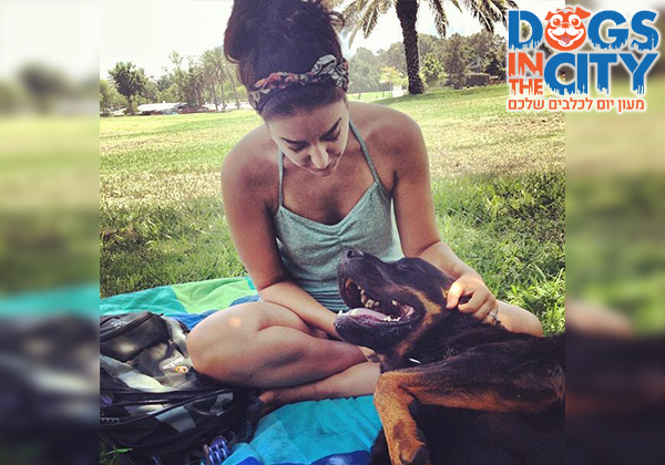 testimonial dogs in the city israel